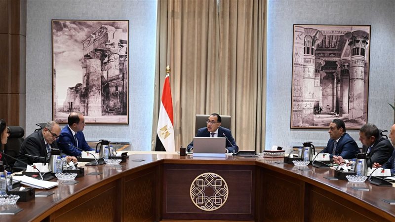 مجلس الوزراء ,فيتو