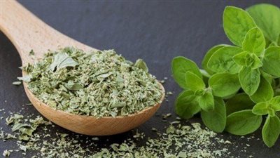 فوائد البردقوش، مسكن فعال لآلام المفاصل واضطرابات المعدة