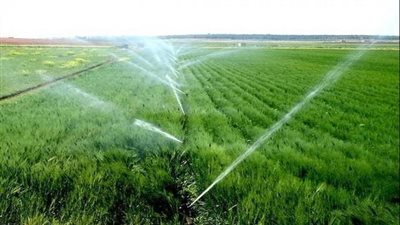 تفاصيل دراسة أقرها مجلس الشيوخ بشأن الحفاظ على المياه.. توصية بالتوجه نحو نظم الري الحديث.. ودراسة ما يتعلق بالمحاصيل الأكثر استهلاكا