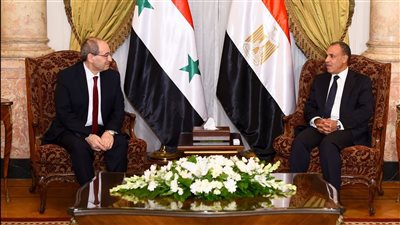 خصوصية تاريخية للعلاقات بين القاهرة ودمشق، تفاصيل لقاء وزير الخارجية بنظيره السوري (صور) 