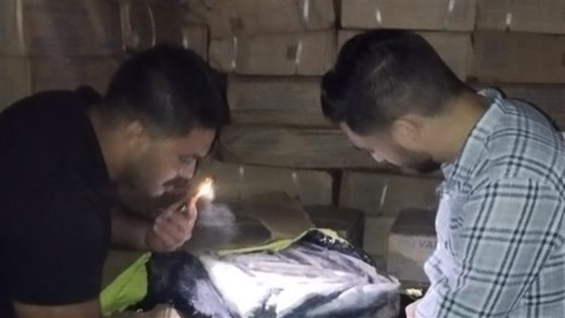 ضبط12 طن أسماك مجمدة