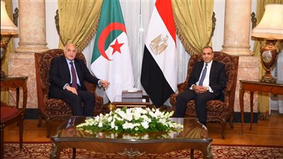 موروث تاريخي وثقافي بين البلدين، تفاصيل اجتماع وزير الخارجية مع نظيره الجزائري