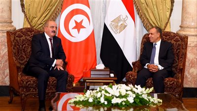 وزير الخارجية يجتمع مع نظيره التونسي على هامش الاجتماع الوزاري لمجلس جامعة الدول العربية