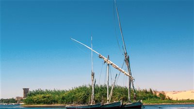 القاهرة 41 درجة، درجات الحرارة المتوقعة اليوم الأربعاء 11- 9 - 2024