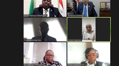 رجال الأعمال المصريين الأفارقة وسفارة زامبيا تنظمان ويبينار حول قطاع السياحة