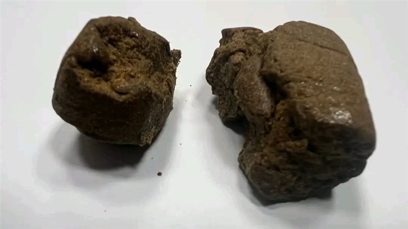  مخدر الحشيش 