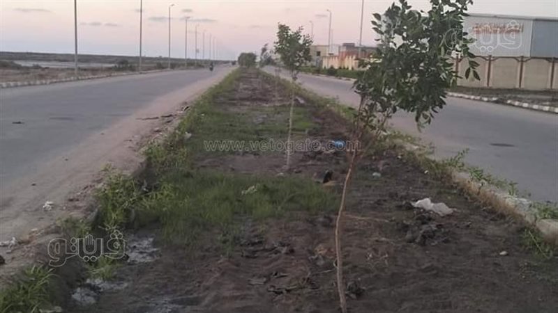 أعمال التشجير, فيتو