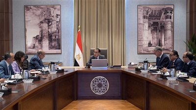 مدبولي يتابع جهود توفير احتياجات قطاع الكهرباء من المنتجات البترولية 