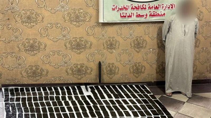 ضبط 8 عناصر إجرامية