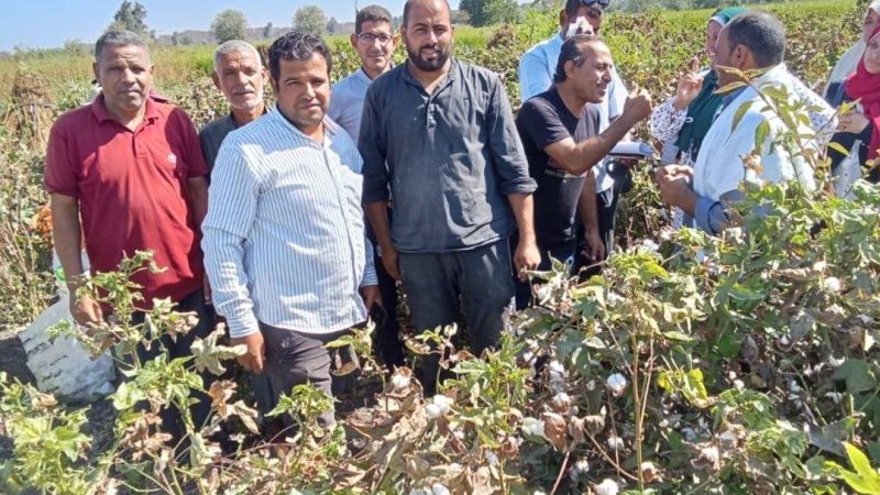 زراعة الشرقية، فيتو