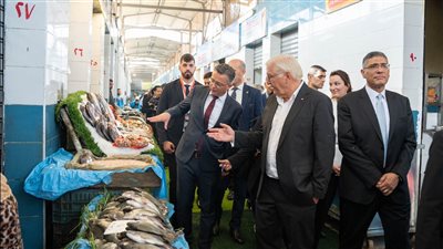 محافظ الجيزة يستقبل رئيس ألمانيا في سوق السمك الحضاري (صور)