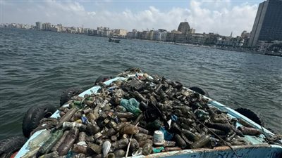 وزارة البيئة تنفذ حملة مكبرة لتنظيف قاع البحر بالإسكندرية 