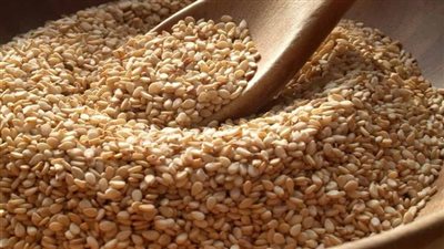 فوائد السمسم، يقوي المناعة والعظام ويحمي من السرطان 