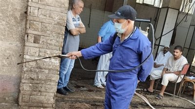 صحة البحيرة تكثف أعمال مكافحة ناقلات الأمراض المعدية بالشوارع (صور)
