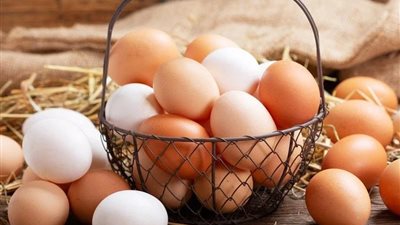 موجة ارتفاعات متتالية في أسعار البيض.. قفزة فى سعر الكرتونة.. المواد الغذائية تكشف الأسعار للمستهلك.. اتحاد المنتجين يوضح الأسباب 