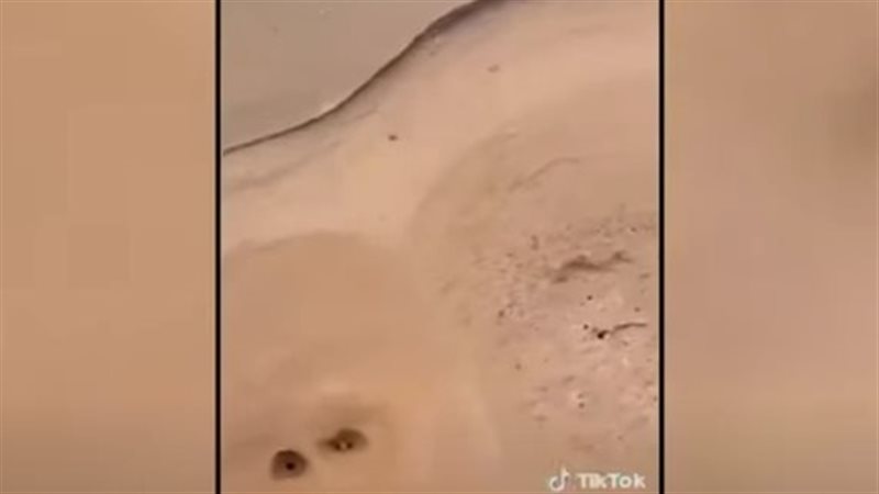  فيديو الأرض تتنفس،