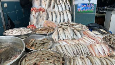 أسعار الأسماك اليوم، الجمبري يسجل 750 جنيهًا في سوق العبور