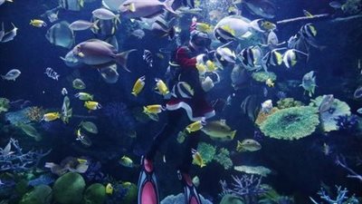 دراسة حديثة: بعض الأسماك قادرة على التعلم والشعور بالألم