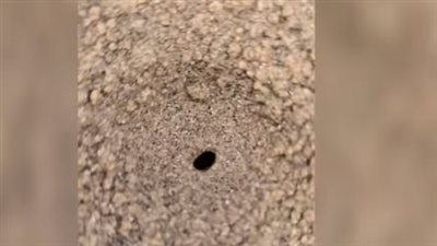 بعد إثارتها للرعب، خبير جيولوجيا يكشف سر ظاهرة الثقوب الأرضية المنتشرة في السودان (فيديو)