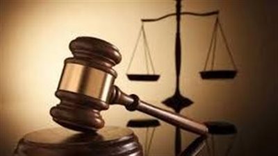 السجن المشدد لمتهم وآخرين بخلية اللجان النوعية بالمرج