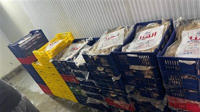 ضبط 928 كجم من اللحوم والدواجن الفاسدة بدمياط ( صور )