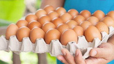 شعبة المواد الغذائية تقترح خطة من 6 محاور لخفض أسعار البيض