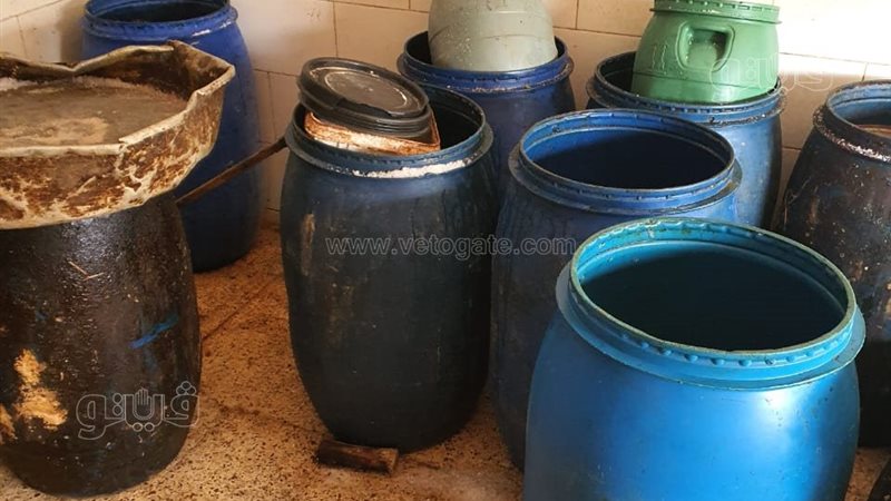 أسماك مملحة فاسدة