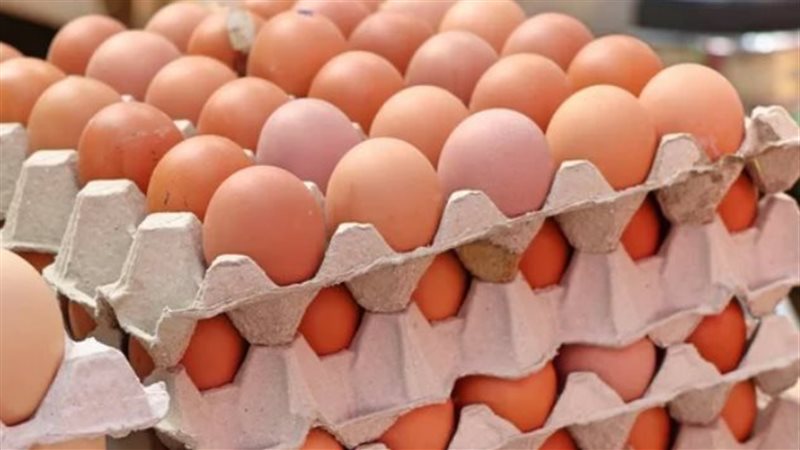 زيادة أسعار البيض