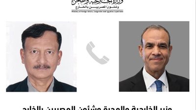لتعزيز العلاقات بين البلدين، وزير الخارجية يجرى اتصالًا هاتفيًا مع نظيره بحكومة بنجلاديش المؤقتة