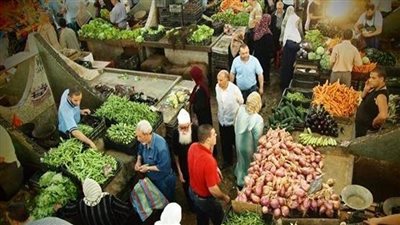انخفاض ملحوظ في أسعار الشبت والبقدونس والكزبرة بالأسواق