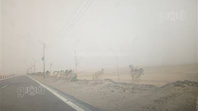 عواصف ترابية مصحوبة بانخفاض في درجات الحرارة تضرب مدن الوادي الجديد