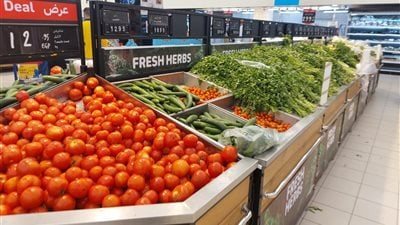 العود بـ 5 جنيهات، ارتفاع أسعار الشبت والبقدونس في الأسواق