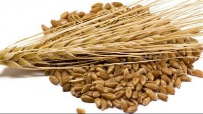 فوائد الشعير، يعزز صحة الجهاز العصبي والقلب وينظم مستوى السكر بالدم 