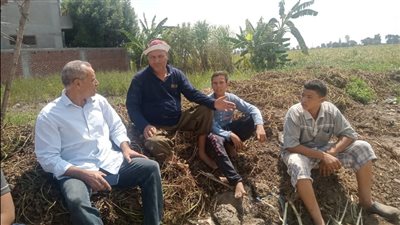 جهود مكثفة في البحيرة لمكافحة حرق المخلفات الزراعية (صور)