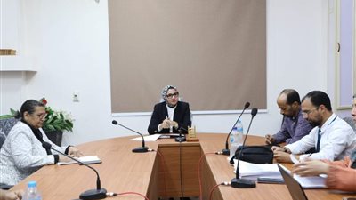 نائب محافظ الوادي الجديد تتابع ختام أعمال لجنة تقييم المشروعات الخضراء الذكية 