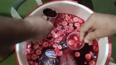  احتفالا بالمولد النبوي، أهالي البحيرة يوزعون الحلوى والشربات بالموز على المارة (فيديو)