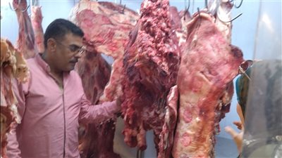 ضبط 800 كيلو جرام لحوم غير صالحة للاستهلاك الآدمي بالجيزة (صور)