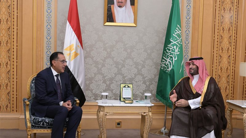 لقاء الأمير محمد