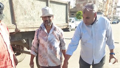 حملات لتقليم الأشجار ورفع القمامة بالحسينية في الشرقية 