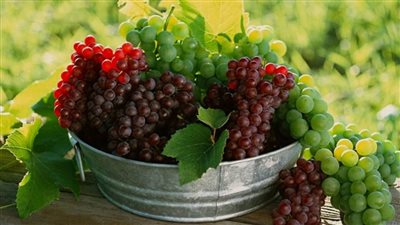 فوائد العنب، يحسن صحة القلب ويحارب الشيخوخة والسرطان 
