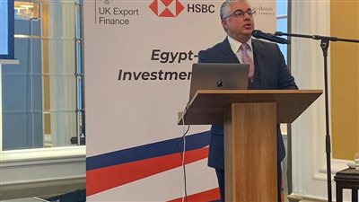 وليد جمال الدين: تهيئة البنية التحتية احتلت أولويات استراتيجية المنطقة الاقتصادية للقناة