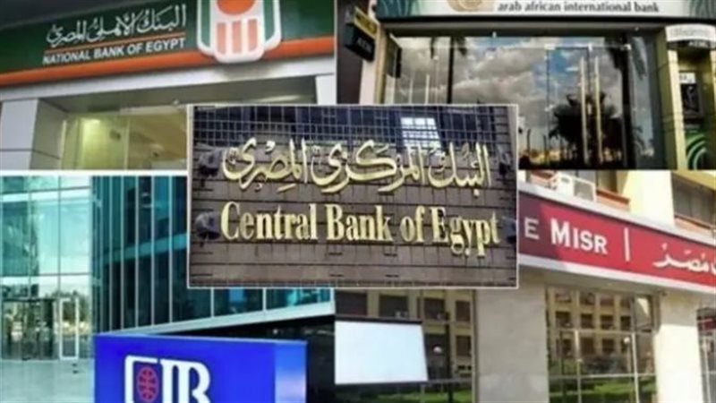 البنك المركزي والقطاع