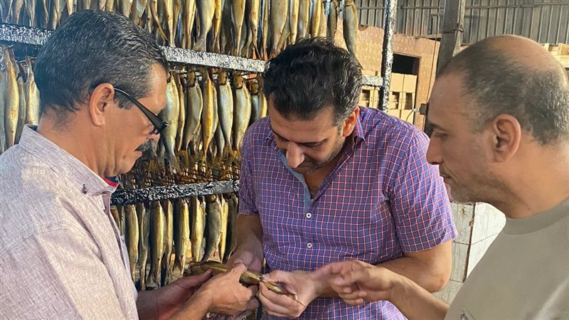 حملات التفتيش والرقابة