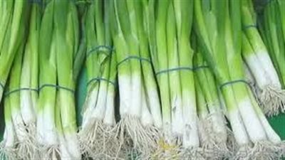 تفسير حلم البصل الأخضر في المنام وعلاقته بالتوبة الصادقة 