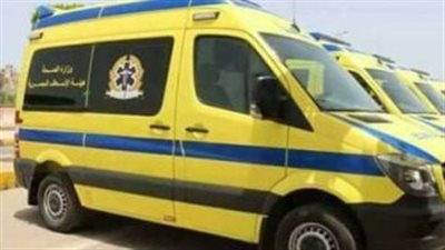 عرض جثة عثر عليها مدفونة في أرض زراعية بأوسيم على الطب الشرعي 