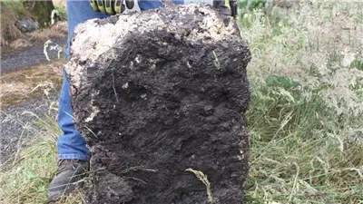 العثور على 25 كيلو زبدة تعود للقرن الـ 16 فى أيرلندا طعمها كما هو