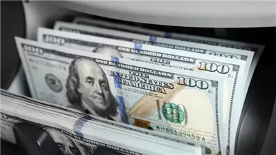 خبير: الشركات ذات الموارد الدولارية ستحقق طفرة كبيرة خلال الفترة المقبلة