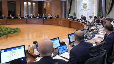 قرار عاجل من الحكومة بشأن المناطق الصناعية للجلود والأثاث والرخام 