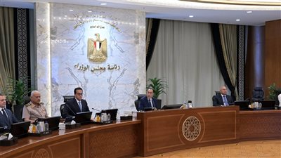 أبرزها الربط الكهربائي بين مصر والسعودية، 11 قرارا عاجلا لمجلس الوزراء اليوم 