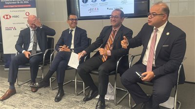 رئيس الرقابة المالية يشارك بجلسة استعراض جهود تطوير الاقتصاد المصري